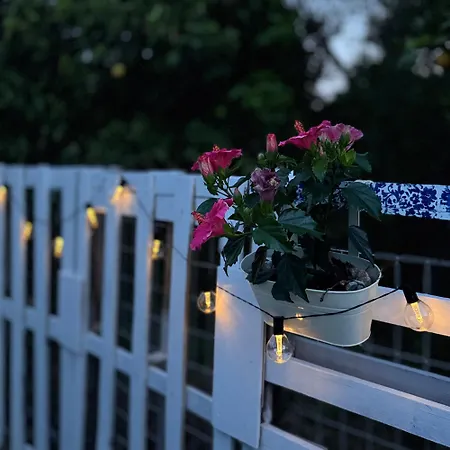 Blu Bene In Mavrovouni, Gytheio Mavrovouni (Laconia)