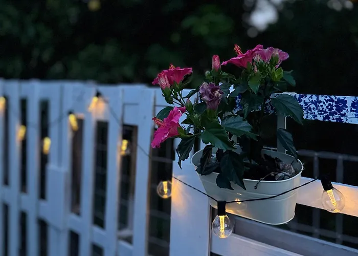 Blu Bene In Mavrovouni, Gytheio Mavrovoúnion